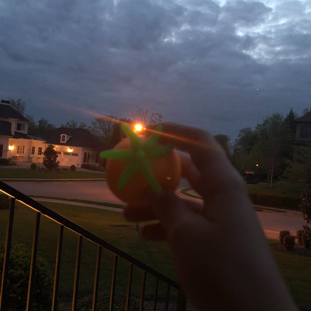 fidgets